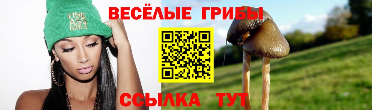 Реутов  Псилоцибиновые грибы прущие грибы  цены   Псилоцибиновые грибы MAGIC MUSHROOMS  Вход с VPN 